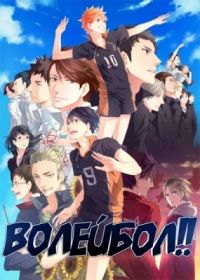 Волейбол!! 2 сезон